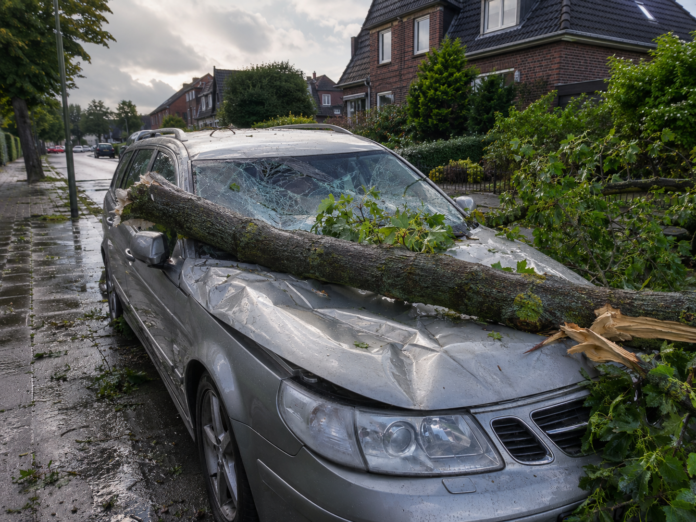 Morscher Ast auf der Straße Wann Hausbesitzer nach dem Sommer-Gewitter voll haften – und wann nicht Morscher Ast auf der Straße Wann Hausbesitzer nach dem Sommer-Gewitter voll haften – und wann nicht