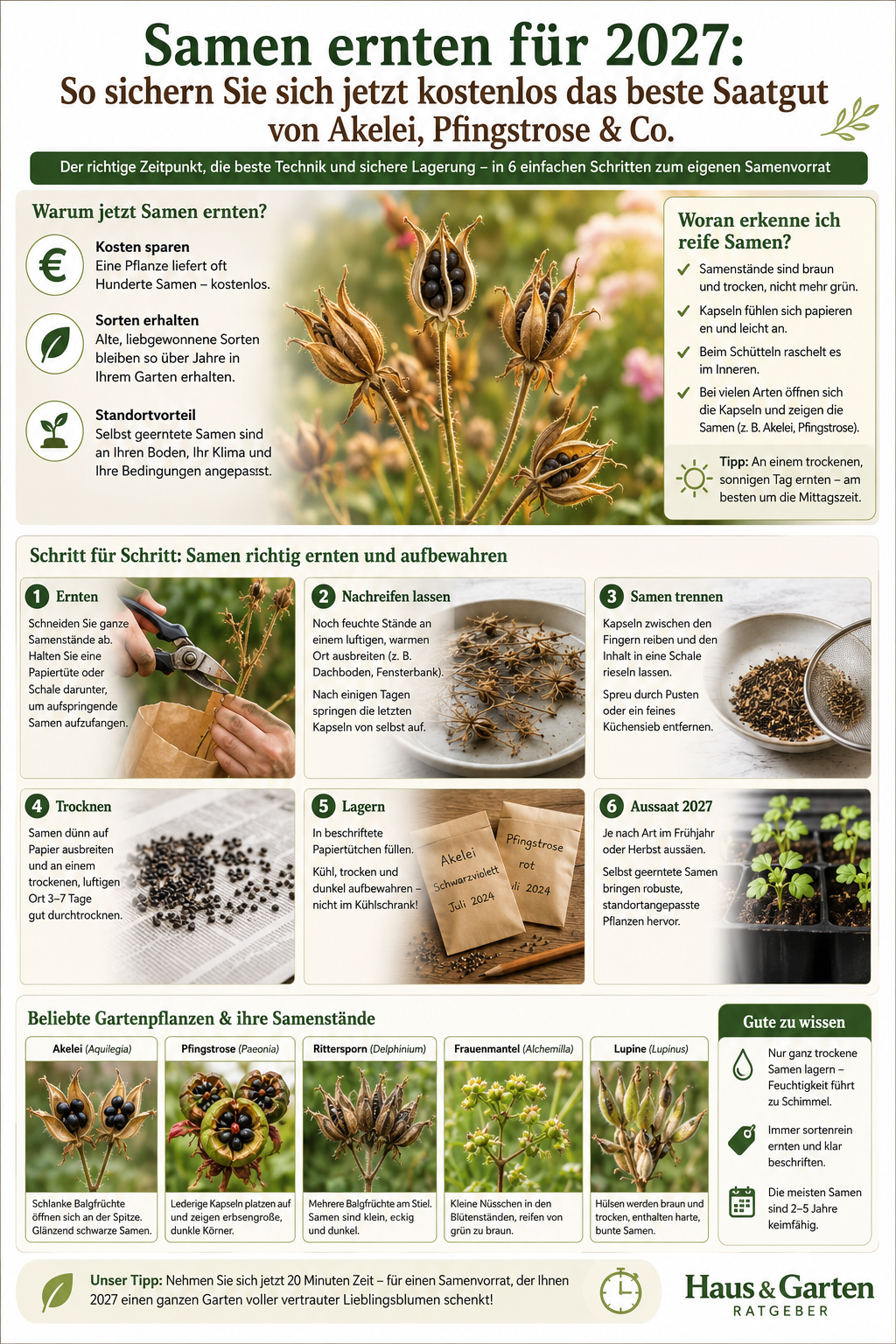 Samen ernten Info